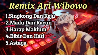 Album Remix Ari Wibowo Bill U0026 Brod