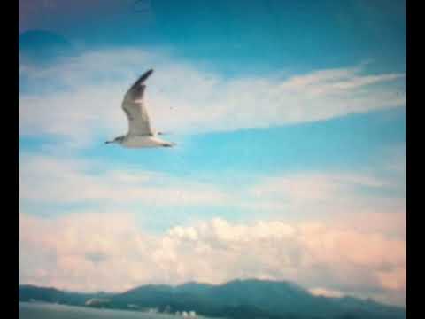 この空を飛べたら　加藤登紀子