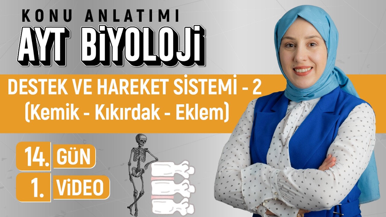 Destek Hareket Sistemi - 2 (Kemik-Kıkırdak -Eklem)- 14.Gün - 1.Video | 50 Günde AYT Biyoloji Kampı
