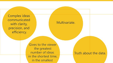 Tufte Envisioning Information Principles