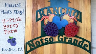 Rancho Notso Grande Harvest Hosts Stay / U-Pick Berry Farm / Hanford, CA / A Harvest Hosts Favorite!