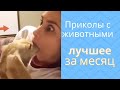 Приколы с животными лучшее за месяц