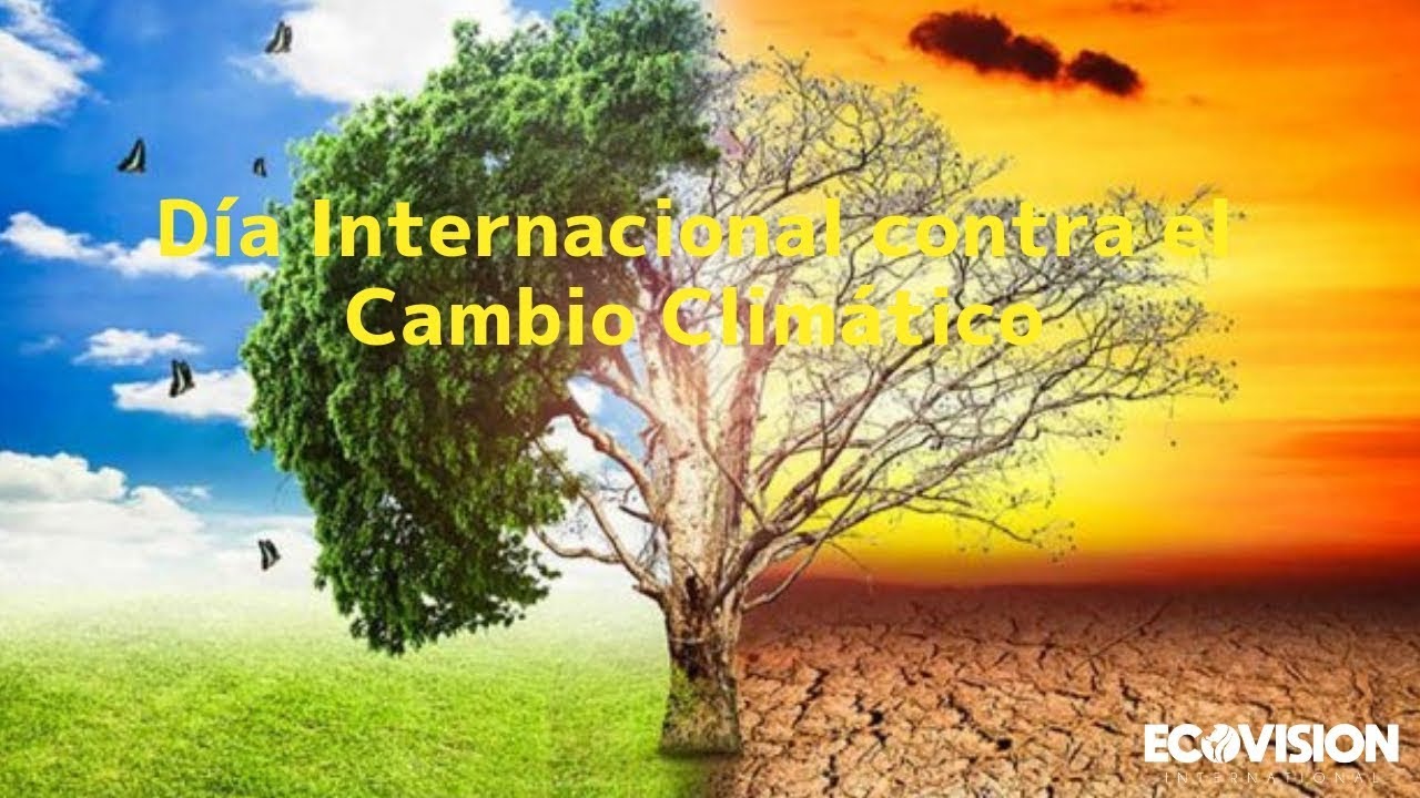 D A INTERNACIONAL CONTRA EL CAMBIO CLIM TICO YouTube