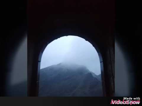 اب المزاحن الفرع الغويل