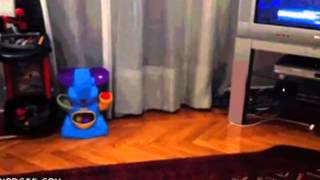 Cat gifs
