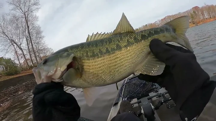 Lake Norman winter time bass