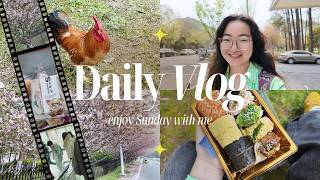 Celebrity 🌿 Sunday in Wuhan, China |  Weekend Vlog ✨| Your friend Maxine Profile