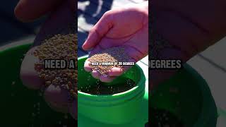 Why Frost Seeding Works: Freeze-Thaw Explained