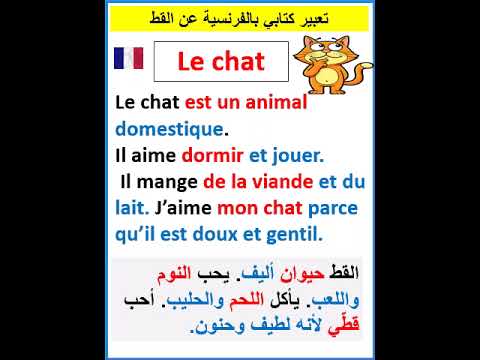 Written Expression In French About The Cat Apprendrelefrançais Français
