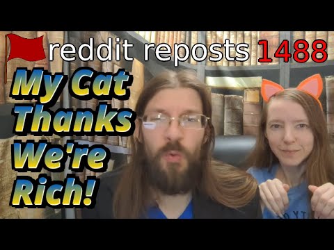 My Cat Thinks We're Rich! | 3 Stories | 1488