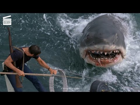 Les Dents de la Mer : Brody tue le requin