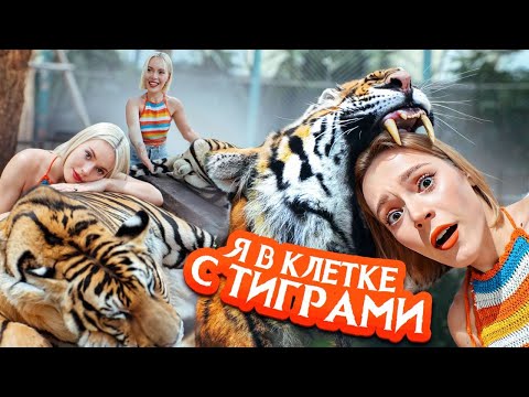 Видео: МЫ в КЛЕТКЕ с ТИГРАМИ! 24ЧАСА в открытом море на ЯХТЕ С БАТУТОМ и ПИРАТАМИ