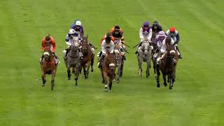 Vidéo de la course PMU PRIX FINOT