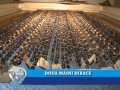 REGELE SÂMBURILOR DE CIREŞE ESTE PLOIEŞTEAN