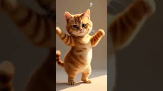 cute cat dancing video cat video #cat #cute #cartoon #funny #funniestvideo