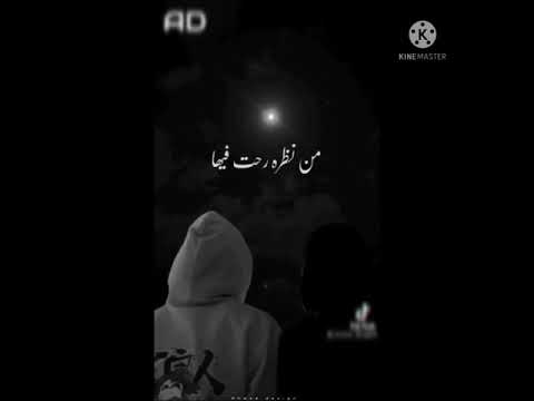 حالات واتس رومنسي وانتي جايا من الارض ولا من السما