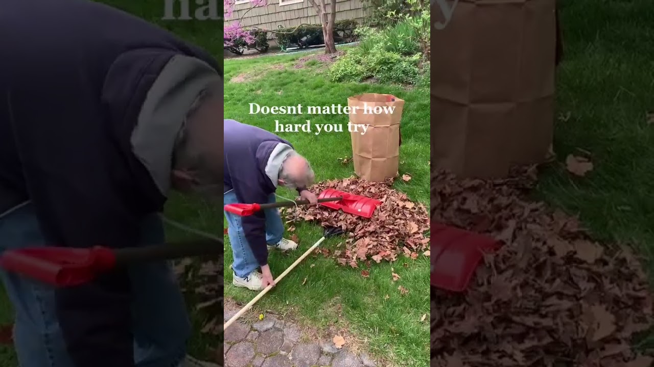 (LINK IN BIO) These Giant Leaf Scoops Will Keep Your Lawn Clean!