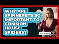 Why Are Spinnerets So Important To Common House Spiders? - Insects and Invaders