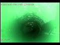 sewer scope - Alpine Phlox
