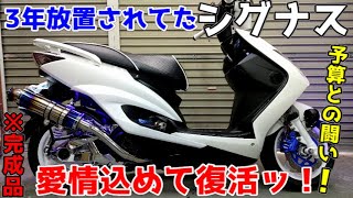 シグナス4型SEA5J事故車 4型シグナスx 事故る - シグナスXでGOGO