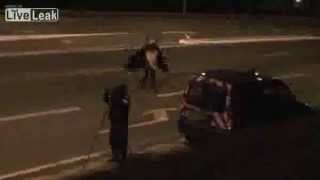 Celebrity Giant Bat Attacks People Wealth