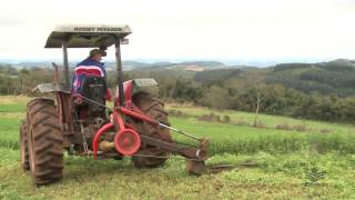 Download Lagu Cultivo de alfafa MP3