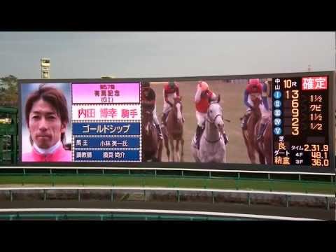 第57回　有馬記念【G1】 （57th THE ARIMA KINEN G1）【競走成績】