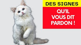 Voici Comment Ton Chat Peut S'excuser Auprès de Toi by HistoireDesAnimaux 445 views 2 weeks ago 3 minutes, 47 seconds