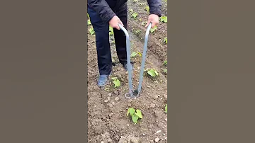 SHORTS Alat Pertanian Sederhana Untuk Pindah Tanaman 