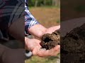 COME fanno L'#ORTO dei veri PROFESSIONISTI PARTE 1 #mattthefarmer #shorts