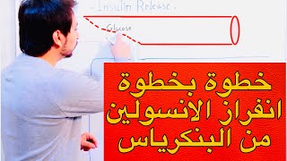 كيف ينفرز الانسلين من البنكرياس Insulin Secretion From Pancreas