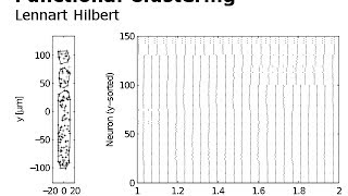 Functional Clustering - Lennart Hilbert