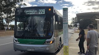 [Shopping Route] Transperth Bus Route No. 229 (TP3443) Maddington Central to Cannington Carousel