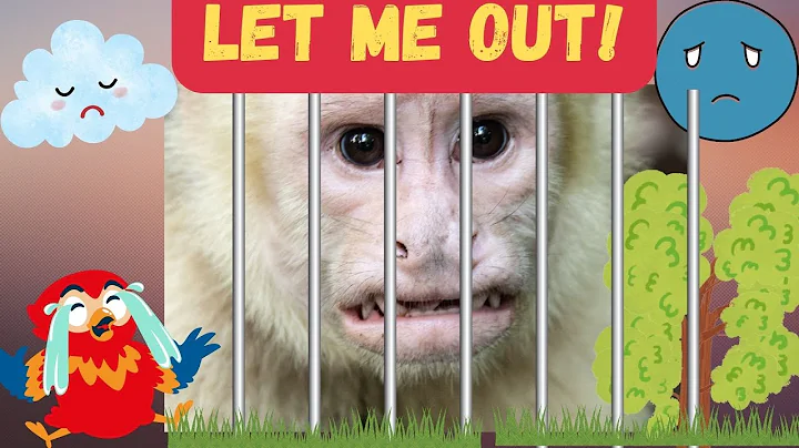 My Monkey at His Best - Rosalie Moscoe (Children's...