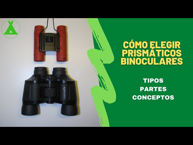 Consejos para elegir unos prismáticos - ClassPaper