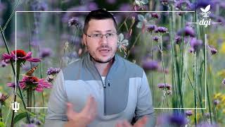W171 Intro / Questionnaire Video