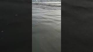 Mesmerizing sound of the ocean waves 🌊 #soundwave #waves #ocean #trending #coxsbazar #viral