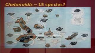 Fall 2016 Dale Travis Lecture: Restoring the Giant Tortoise Dynasties of the Galapagos