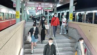554次經由海線北迴線開往花蓮的E204單電頭+兩節全藍行包專車+新式自動門莒光號
