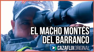 EL MACHO MONTÉS  DEL BARRANCO. Cazando cabras en Castellón con SWAROVSKI OPTIK