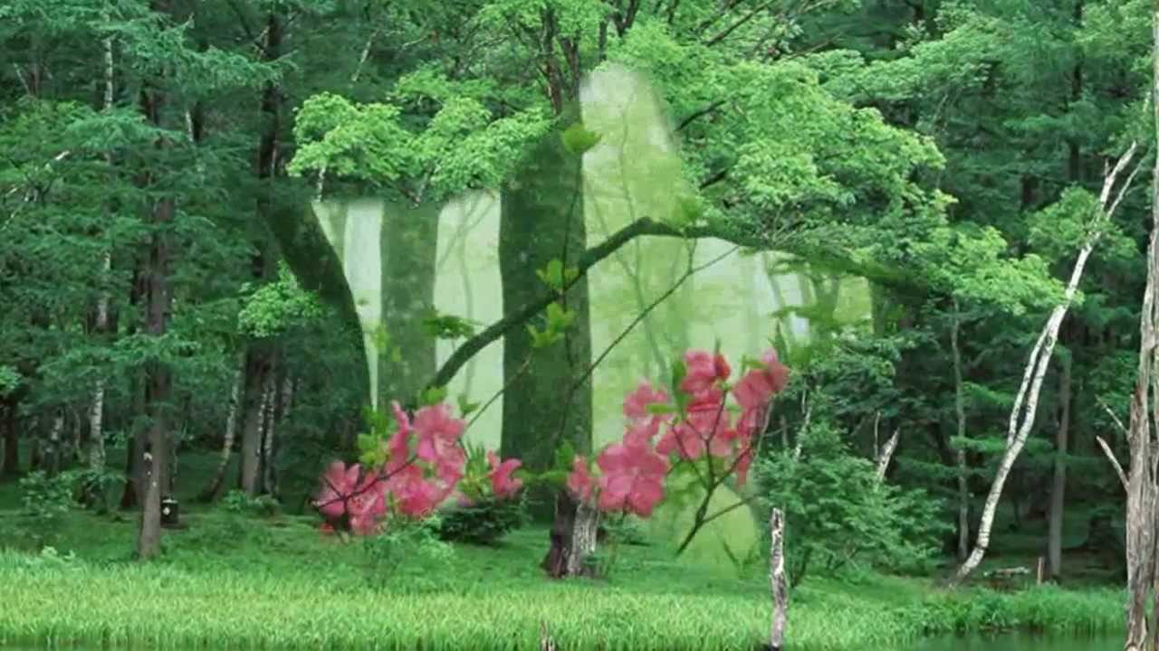 輕音樂 Light music--綠光森林 Green forest