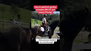Große und schwere Reiter gehören nicht auf kleine Pferde, weil….!!!