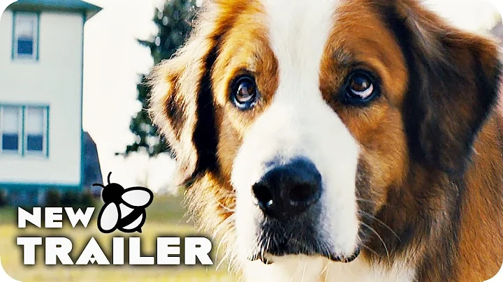 A DOG'S JOURNEY Trailer (2019) A Dog's Purpose Sequel Movie