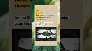 Dünyanın Həqiqəti Əşfet Əyərlisözlər Özlər Özəlsözlər Ənalısözlər Ölüm