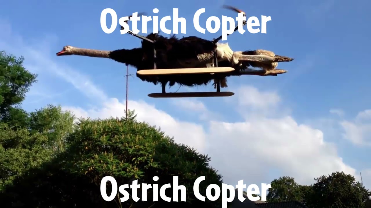 Ostrich copter