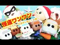 うーたん ワンワン トミカ PUIPUIモルカー 怪盗ワンワンクリスマスではちゃめちゃパーティー☆～PUIPUIモルカーを頂きに参上！の巻～ 怪盗ワンワンがサンタさんに！？ 11月新作ドリームトミカ