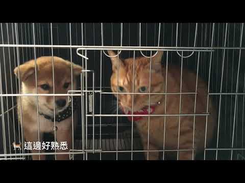 【Ruby愛耍廢】當我們關在一起