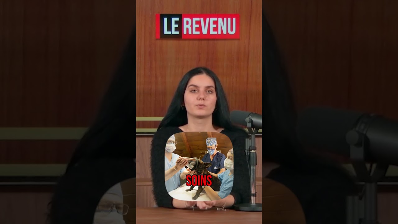 Le vrai coût d’un animal de compagnie.