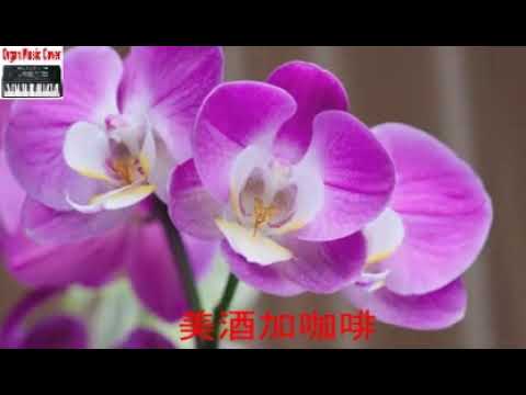 美酒加咖啡#Mei Jiu Jia Ka Fei (Cover Instrumental Best Music).MP4