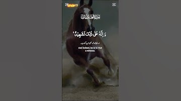 سورة العاديات #القرآن_الكريم #المصحف #اكسبلور
